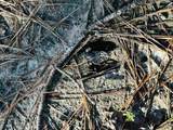 Lot 406 Country Mill Rd - Photo 8