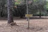 0000 Pat Brown Rd - Photo 12