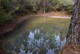 0000 Pat Brown Rd - Photo 4