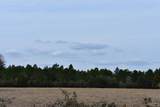0000 Pat Brown Rd - Photo 7
