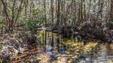 8340 Gin Rd - Photo 18