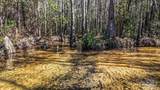 8340 Gin Rd - Photo 20