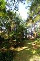 1621 Mauna Kea Ct - Photo 12