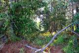 1621 Mauna Kea Ct - Photo 9