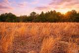 Lot 42 Mineral Springs Rd - Photo 1