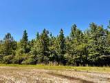Lot 42 Mineral Springs Rd - Photo 12