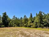 Lot 42 Mineral Springs Rd - Photo 14