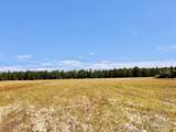 Lot 42 Mineral Springs Rd - Photo 16