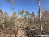 Lot 22 Creek Bluff Dr - Photo 10
