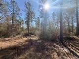 Lot 3 Creek Bluff Dr - Photo 1