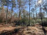 Lot 3 Creek Bluff Dr - Photo 2