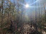 Lot 3 Creek Bluff Dr - Photo 3
