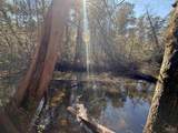 Lot 18 Brook Crossing St - Photo 8