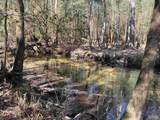 Lot 15 Brook Crossing St - Photo 5