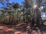 0000 Reuben's Way - Photo 1