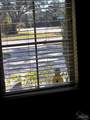 4712 Foxtail Palm Dr - Photo 22