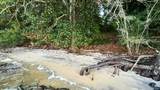 12460 Lillian Hwy - Photo 4