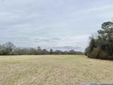 1400 Block Mexboro Rd - Photo 7