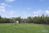 11278 Old Pine Loop Rd - Photo 39