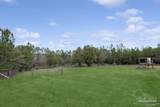 11278 Old Pine Loop Rd - Photo 40