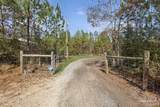 11278 Old Pine Loop Rd - Photo 5