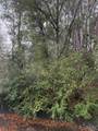 300 BLK Mier Henry Rd - Photo 3