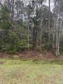 300 BLK Mier Henry Rd - Photo 4