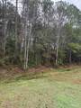 300 BLK Mier Henry Rd - Photo 5