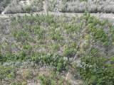 Lot 3 Walling Rd - Photo 6