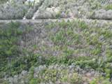 Lot 5 Walling Rd - Photo 5