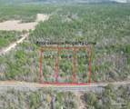Lot 4 Walling Rd - Photo 2