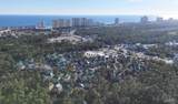 13555 Perdido Key Dr - Photo 53