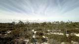 14314 Beach Heather Ct - Photo 47