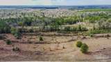 20 Acres Tanner Ridge Rd - Photo 21