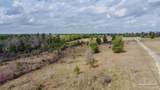 20 Acres Tanner Ridge Rd - Photo 9