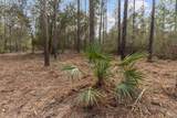 Lot #10 Bermuda Ln - Photo 2