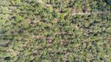 Lot #10 Bermuda Ln - Photo 22