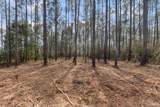 Lot #10 Bermuda Ln - Photo 8