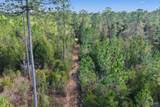 10736 County Rd 83 - Photo 8