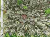 6562 Will Jones Rd - Photo 10