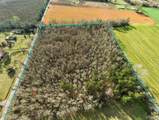 6562 Will Jones Rd - Photo 12
