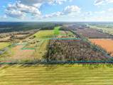 6562 Will Jones Rd - Photo 5