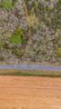 7900 Enon School Rd - Photo 3