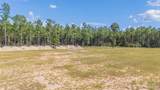 7047 Hidden Forest Trail - Photo 3