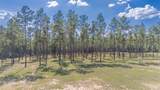 7047 Hidden Forest Trail - Photo 5