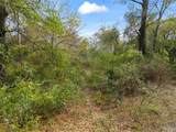 7725 Elrod Rd - Photo 13