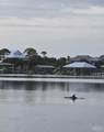 16310 Perdido Key Dr - Photo 37