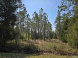 6641 Delhi Dr - Photo 1