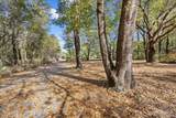 4205 Elvis Presley Dr - Photo 20