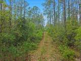 0 Tom Shivers Rd - Photo 15